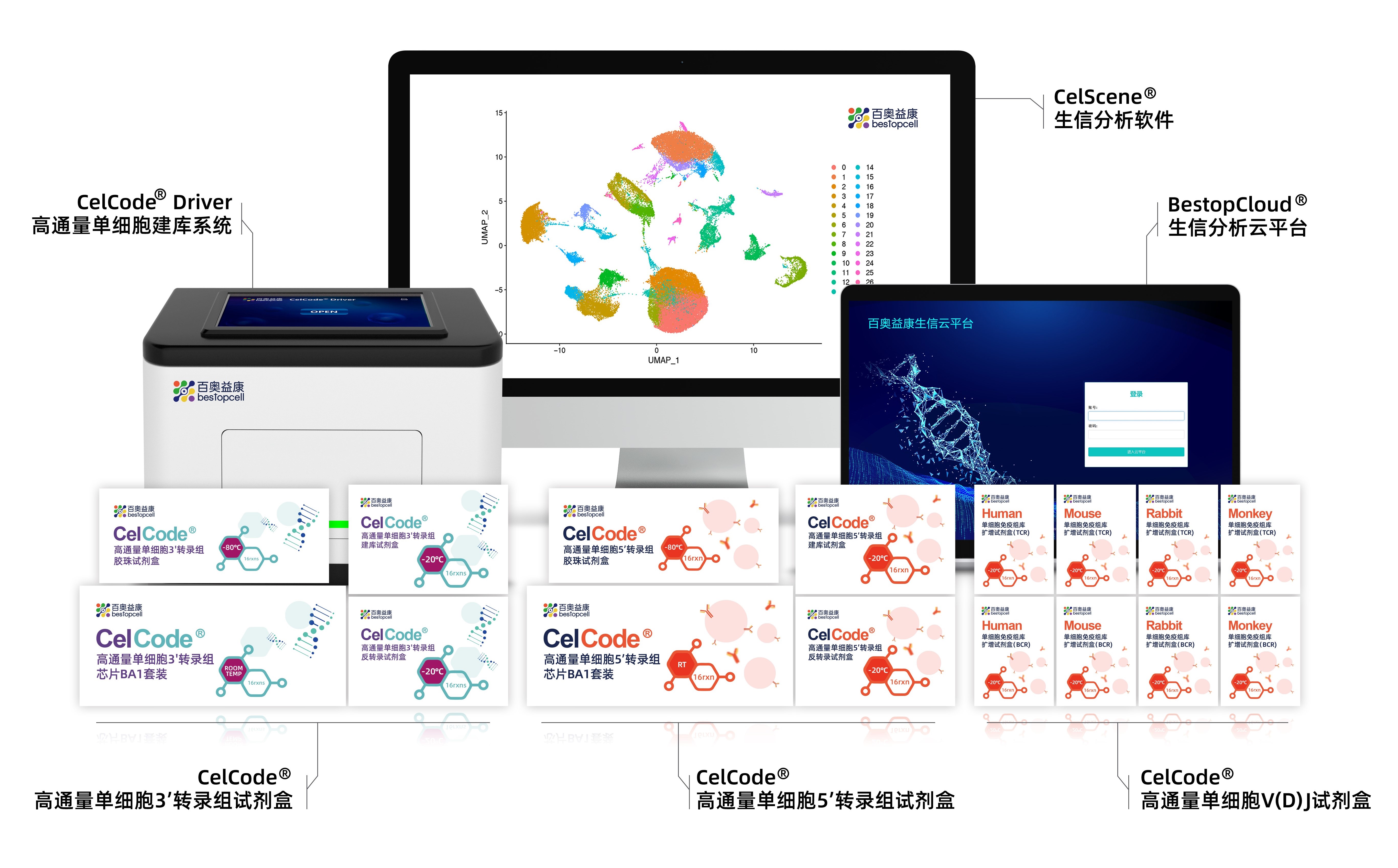 突破升级 | CelCode®单细胞测序突破γδTCR检测瓶颈，解锁免疫微环境全貌