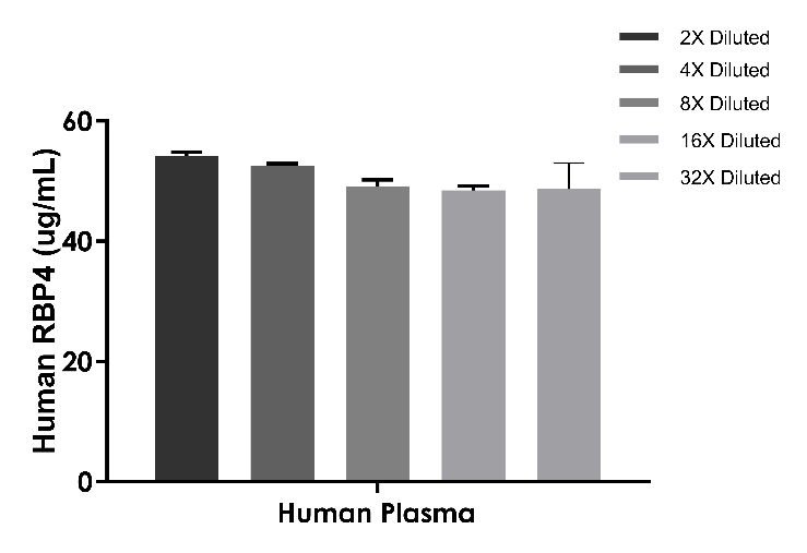 RBP4生物学功能全解析：从胰岛素抵抗到肾脏损伤的跨领域调控机制