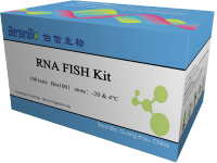 荧光原位杂交(FISH)试剂盒