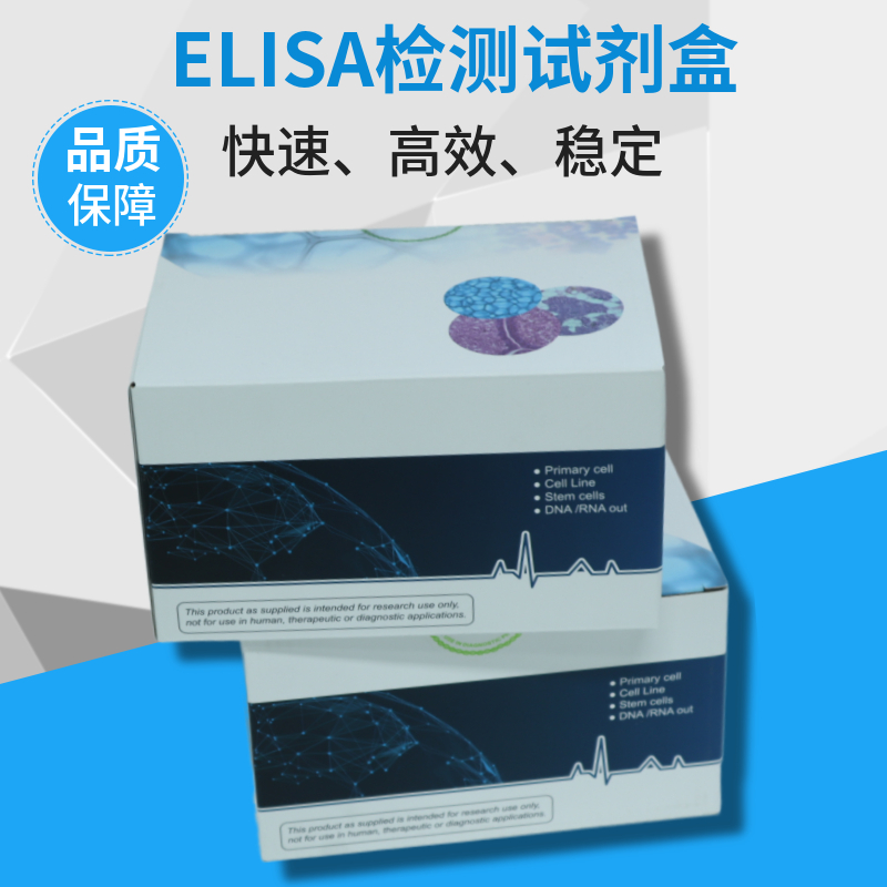 Elisa试剂盒和WB是两种常用的生物化学分析方法
