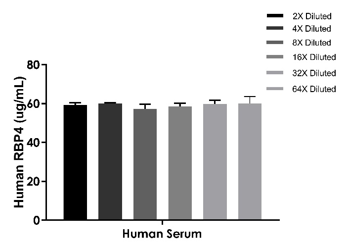 RBP4生物学功能全解析：从胰岛素抵抗到肾脏损伤的跨领域调控机制