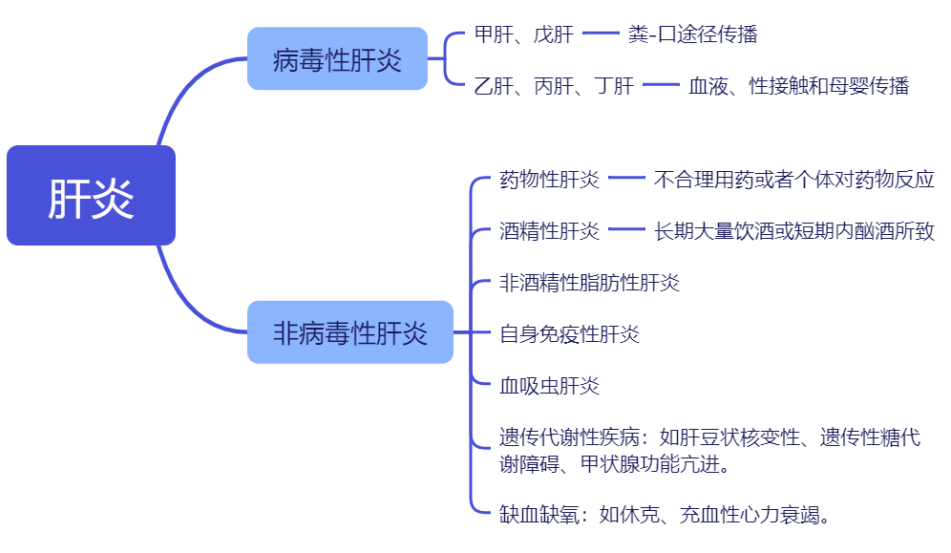 “肝”货满满，流式细胞术带您探索肝炎的免疫世界 —— 世界肝炎日