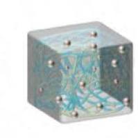 壳聚糖水凝胶包载白藜芦醇 CS hydrogel@Res