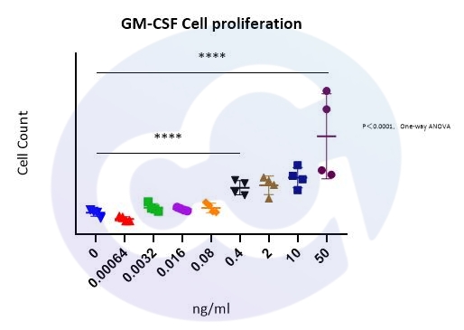 现货供应！高活性GM-CSF重组蛋白，低内毒素，支持实验验证！