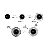 负载紫杉醇的氧化铁纳米颗粒 PTX@IONPs