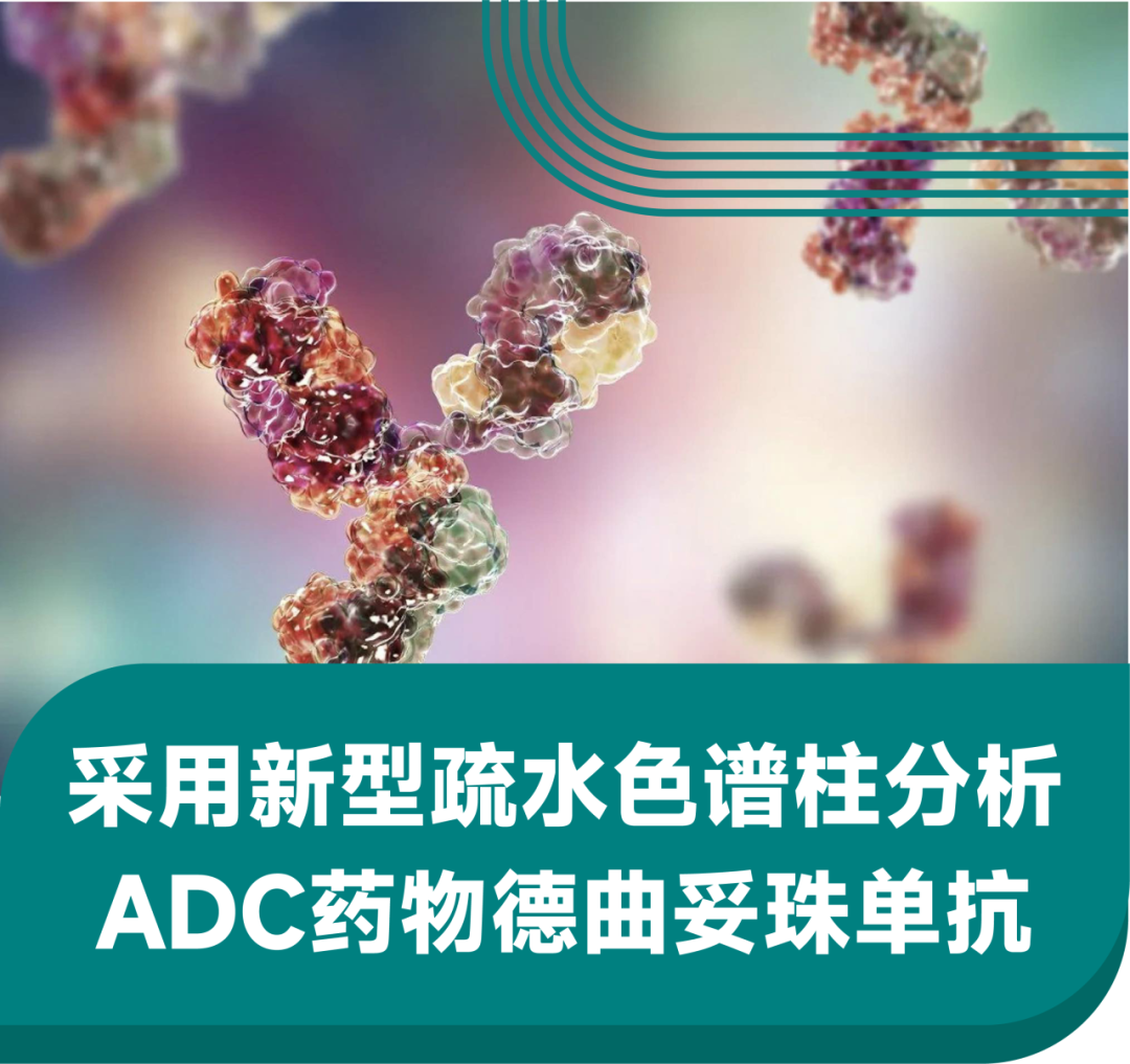 采用新型疏水色谱柱分析ADC药物德曲妥珠单抗