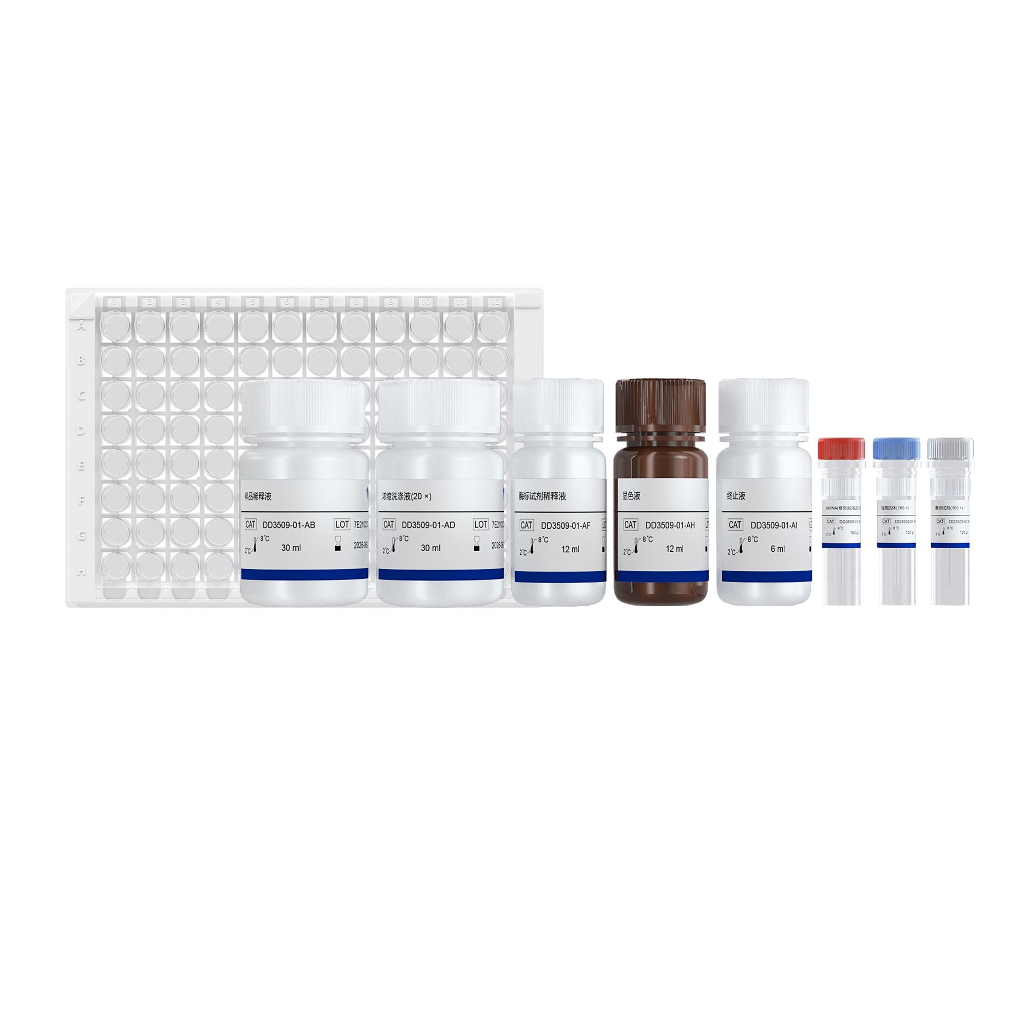 dsRNA(修饰)定量检测试剂盒(酶联免疫法)2.0（DD3509）