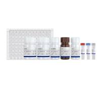 dsRNA(修饰)定量检测试剂盒(酶联免疫法)2.0(DD3509)