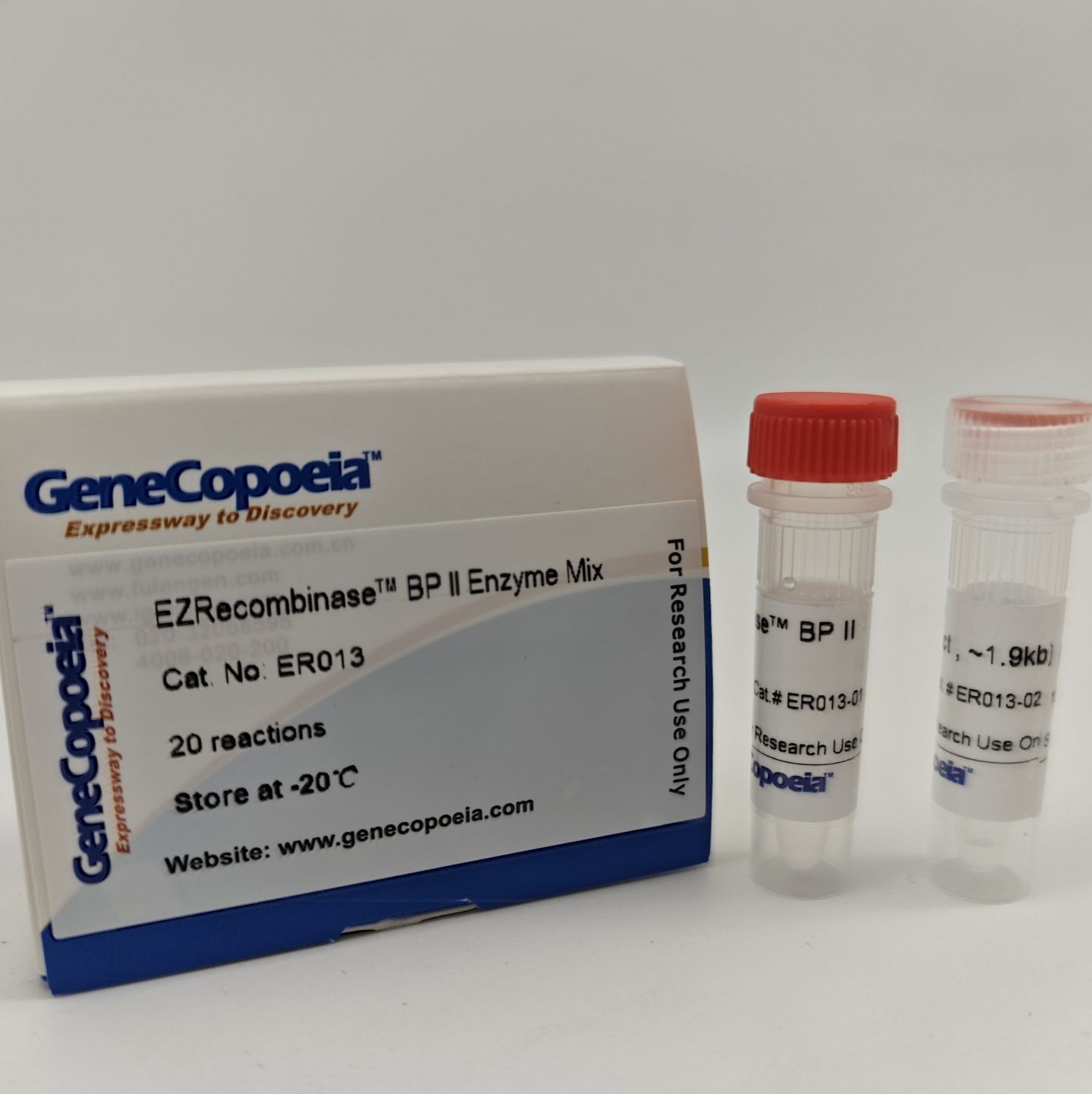 EZRecombinase™ Mix （LR酶/BP酶）