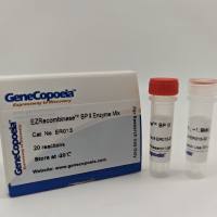 EZRecombinase™ Mix （LR酶/BP酶）