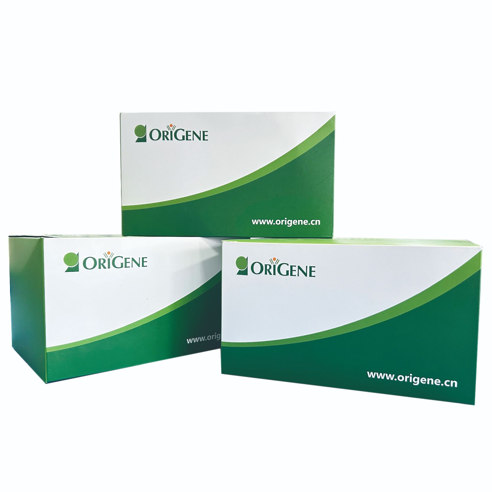 Lateral flow testing sticks used for the semi-quantitative detection of the lentiviral p24 protein, 5 tests