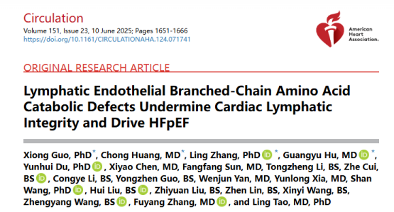 客户文章（IF=35.5）丨突破性发现！心脏淋巴管代谢异常竟是心力衰竭的 “隐形推手”