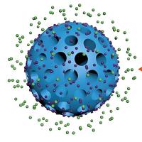 聚多巴胺纳米颗粒包载多奈哌齐  PDA NPs@DNZ