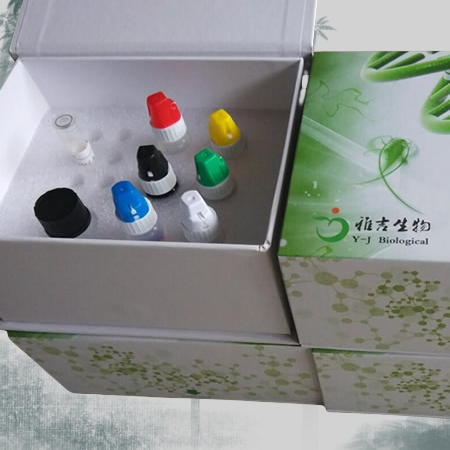 人可溶性白细胞分化抗原86(B7-2/sCD86)Elisa试剂盒説明书