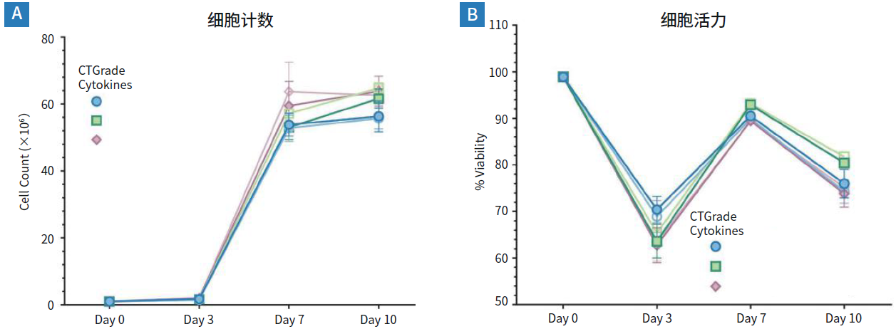 在G-Rex细胞培养系统中使用PRIME-XV T Cell CDM和CTGrade重组人蛋白扩增PBMC