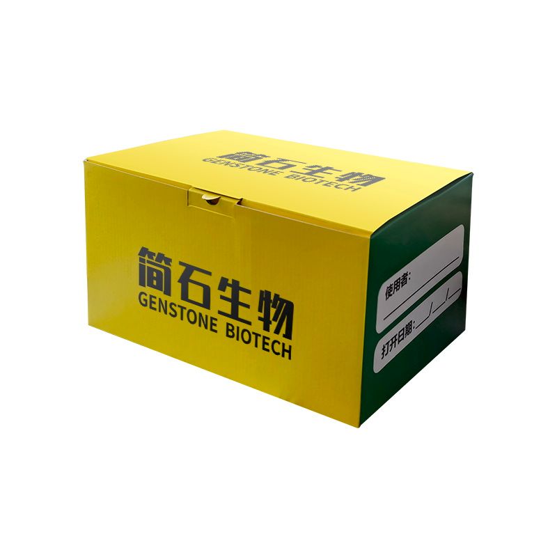 质粒DNA超快速大量提取试剂盒