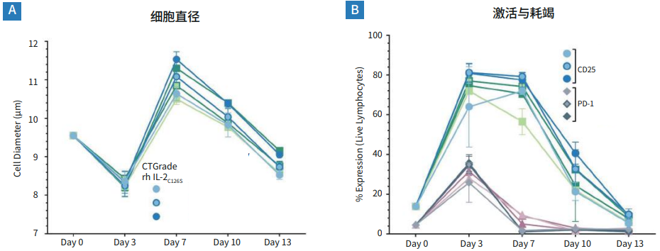 在G-Rex细胞培养系统中使用PRIME-XV T Cell CDM和CTGrade重组人蛋白扩增PBMC