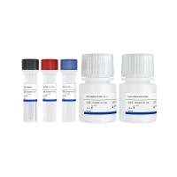 Add&Read® cAMP Detection Kit（DD2801）