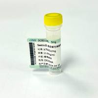 Seebio® 重组碱性磷酸酶(高活性)