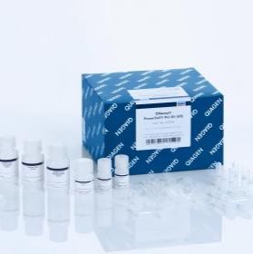 Qiagen 47014/47016强力土壤DNA提取试剂盒（50T/250T）（替代 12888-50、12888-100）