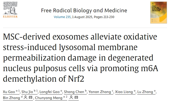 1个月见刊？聚焦外泌体与表观调控交叉：改善椎间盘退变的国自然研究新视角！