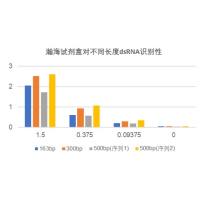 双链RNA（dsRNA）定量检测试剂盒