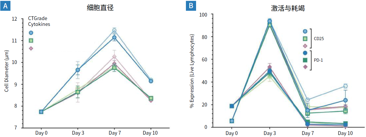 在G-Rex细胞培养系统中使用PRIME-XV T Cell CDM和CTGrade重组人蛋白扩增PBMC