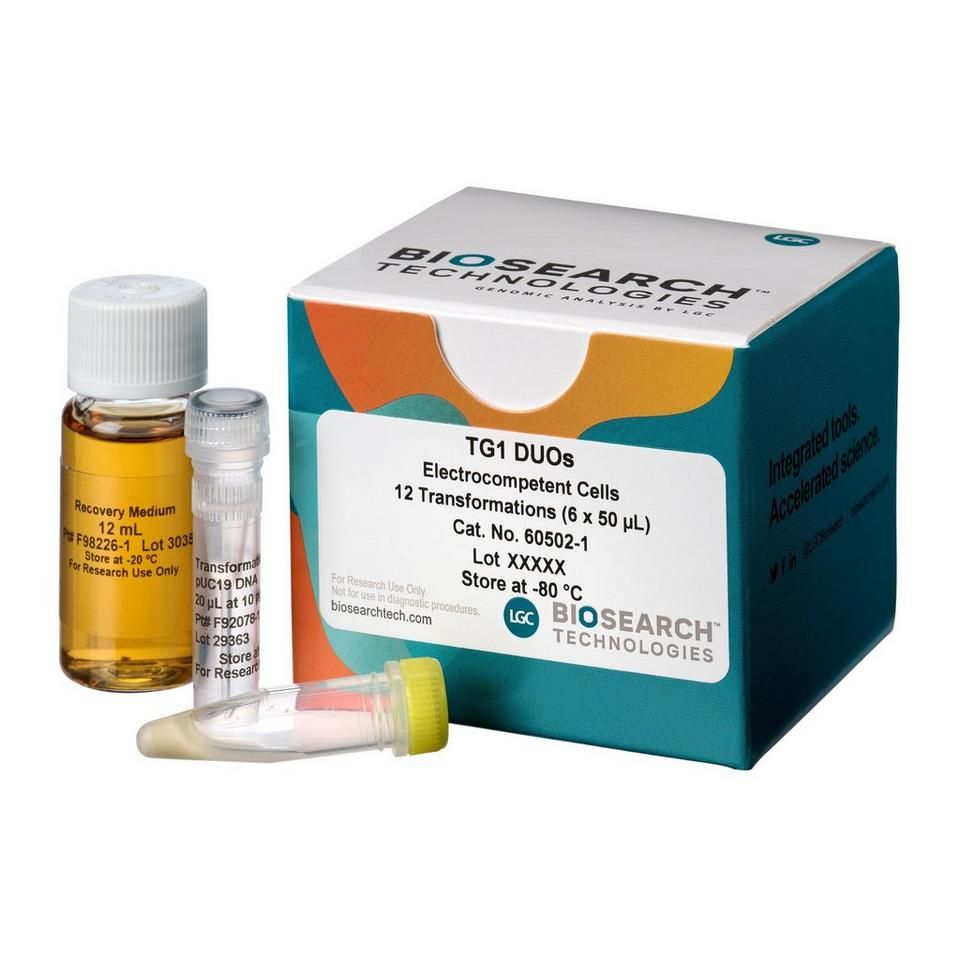 Phage Display ElectroCombo Pack (4 rxns each of the 3 strains)