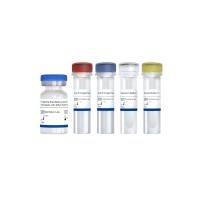 Add&Read® Human IFN gamma Quantitative（DD2706