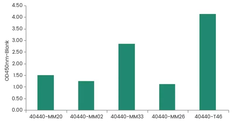 号外！号外！义翘神州基孔肯雅新毒株重组蛋白、抗体上新啦！