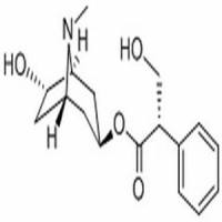 消旋山莨菪碱