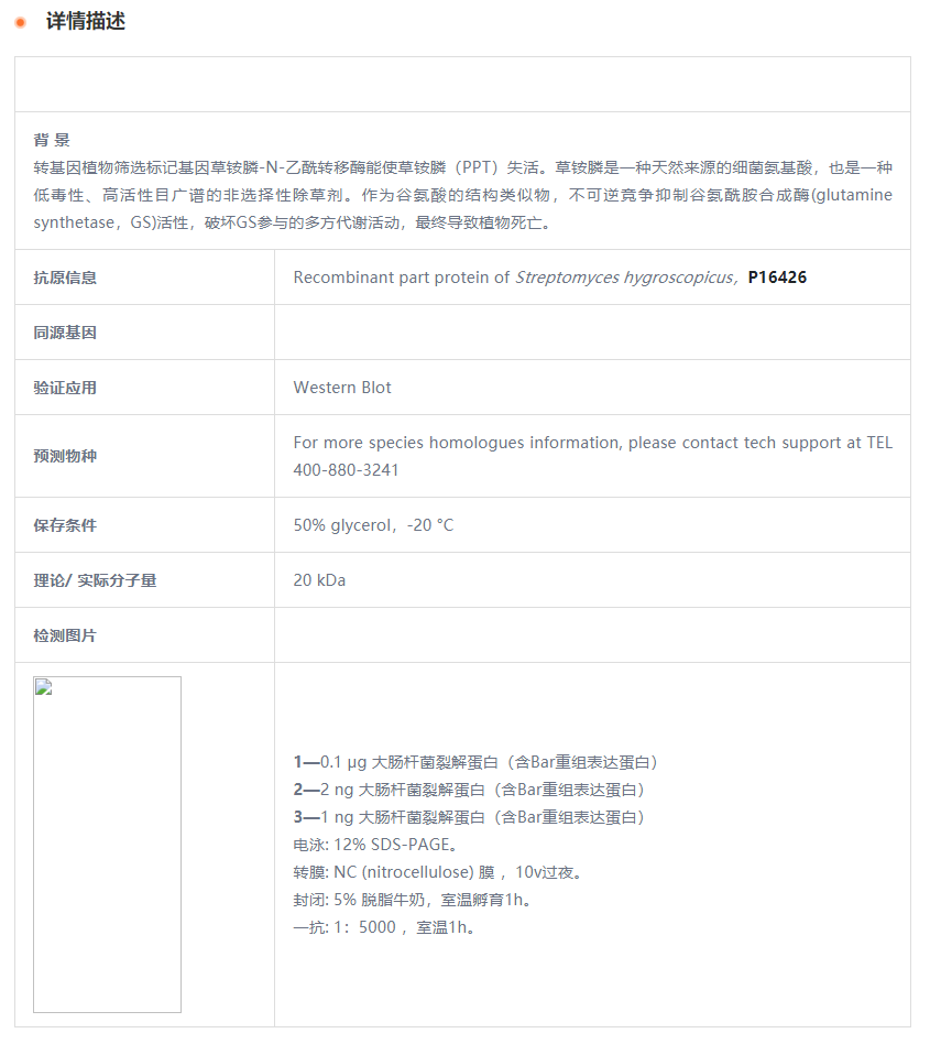 【植物抗体】Anti-Bar Rabbit Antibody