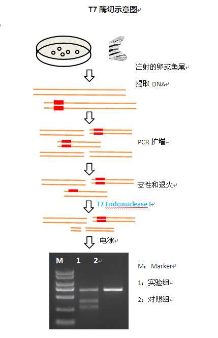 产品细节图片1