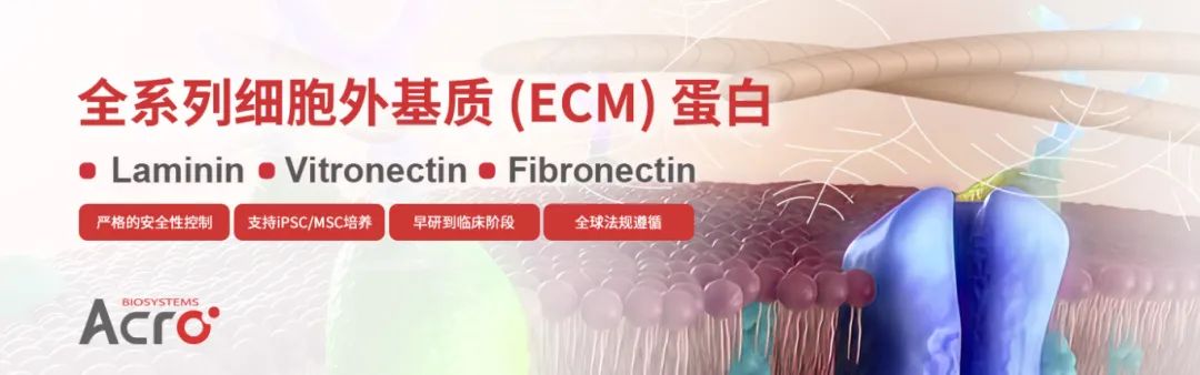 全系列细胞外基质蛋白—从早研到临床转化的强力引擎