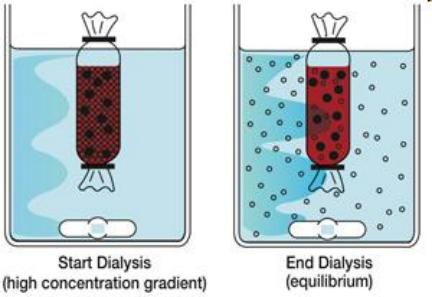 透析袋膜材料的耐酸碱性,透析袋如何选择？