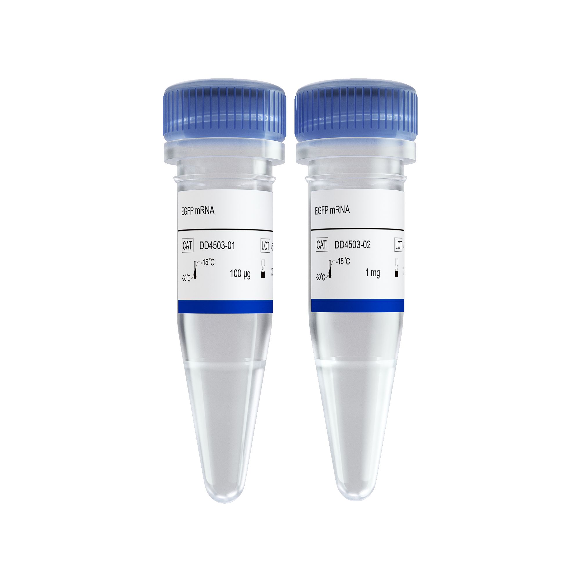EGFP mRNA(DD4503)