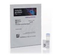 ProLong™ Live 活细胞成像抗淬灭试剂