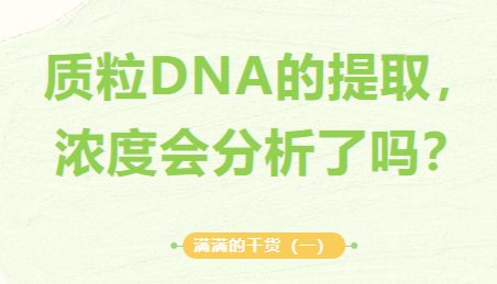 满满的干货（一）：质粒DNA的提取，浓度会分析了吗？