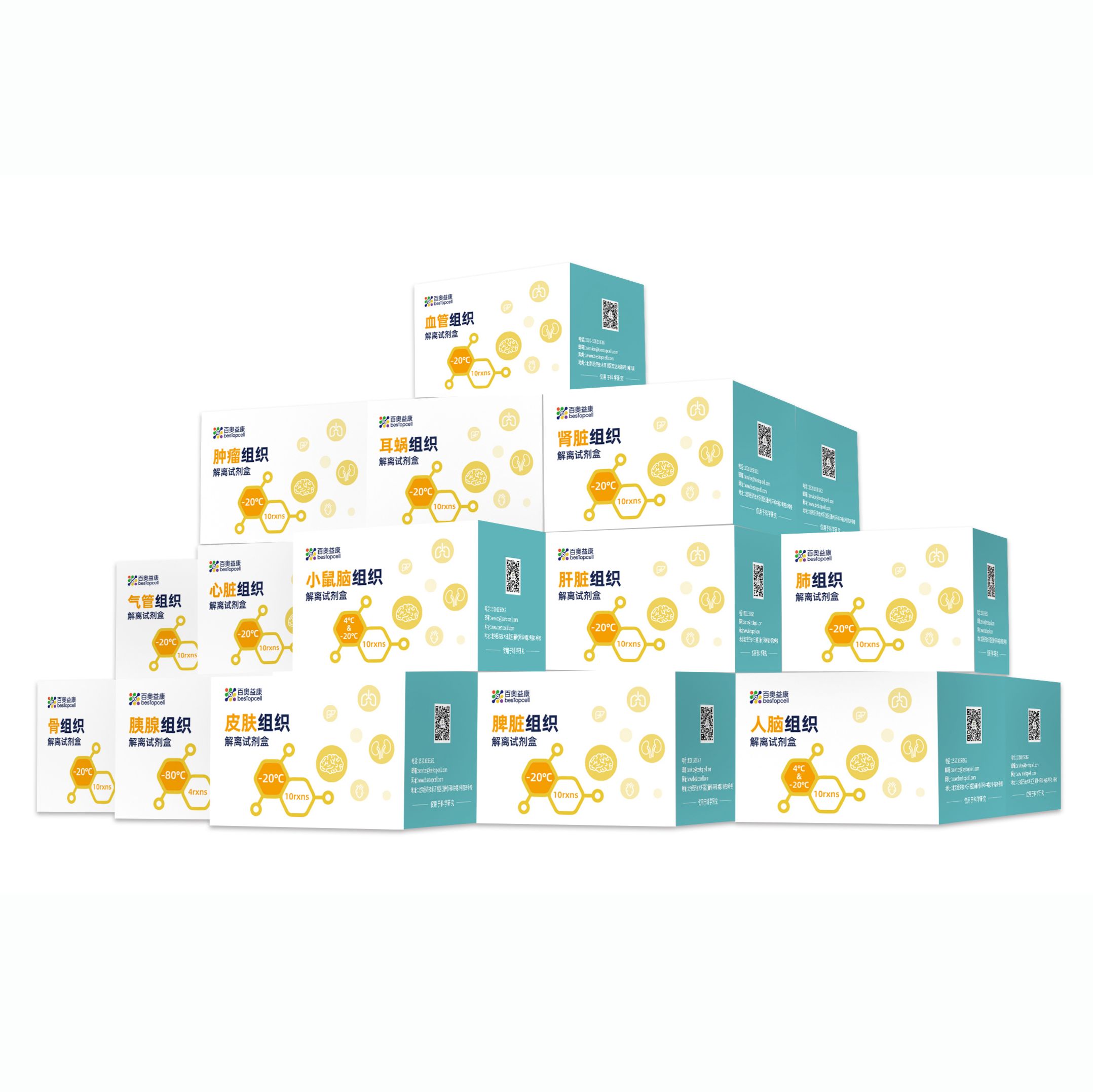 百奥益康组织解离系列试剂盒
