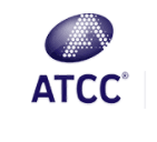 OPA1-null MEFs; Mouse Embryo Fibroblast; Mouse (Mus musculus)(试剂) CRL-2995