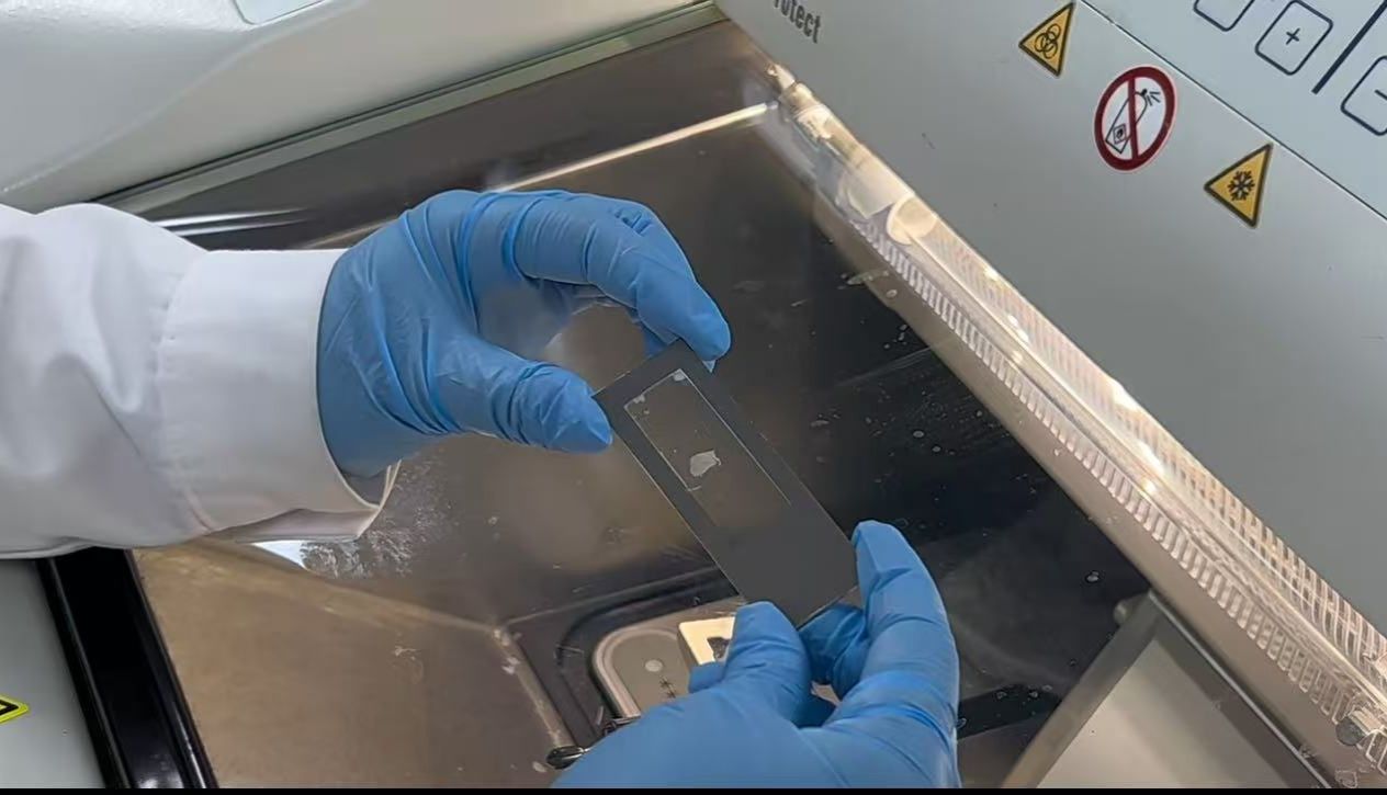 空间蛋白质组学“黄金搭档”——空间膜片如何实现单细胞级精准切割