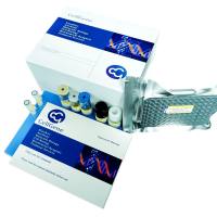 毕赤酵母（Pichia Pastoris）宿主细胞蛋白（HCP）,G3残留检测试剂盒说明书 （适用