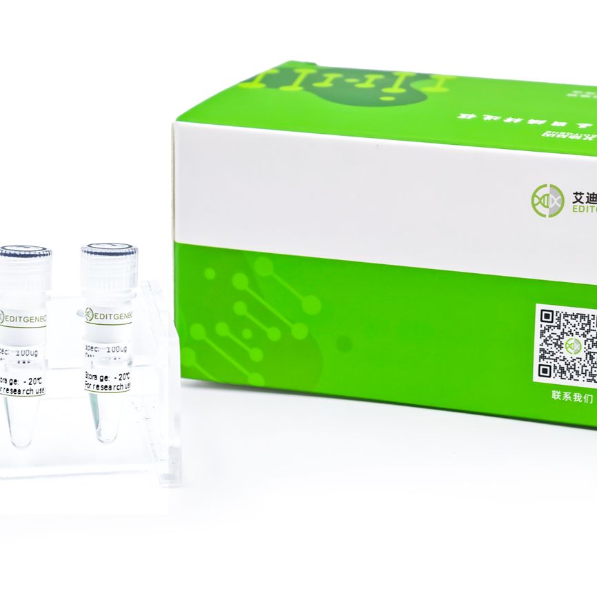 TelN-Max（TelN Protelomerase Max）试用装