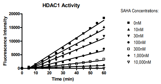 艾美捷HDAC1动力学检测试剂盒促销，助力学术研究！
