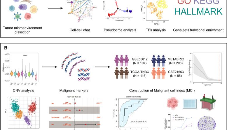 IF=13.5！巧用自测+公共数据，低成本撬动高分成果！10+ Club 等你加入！