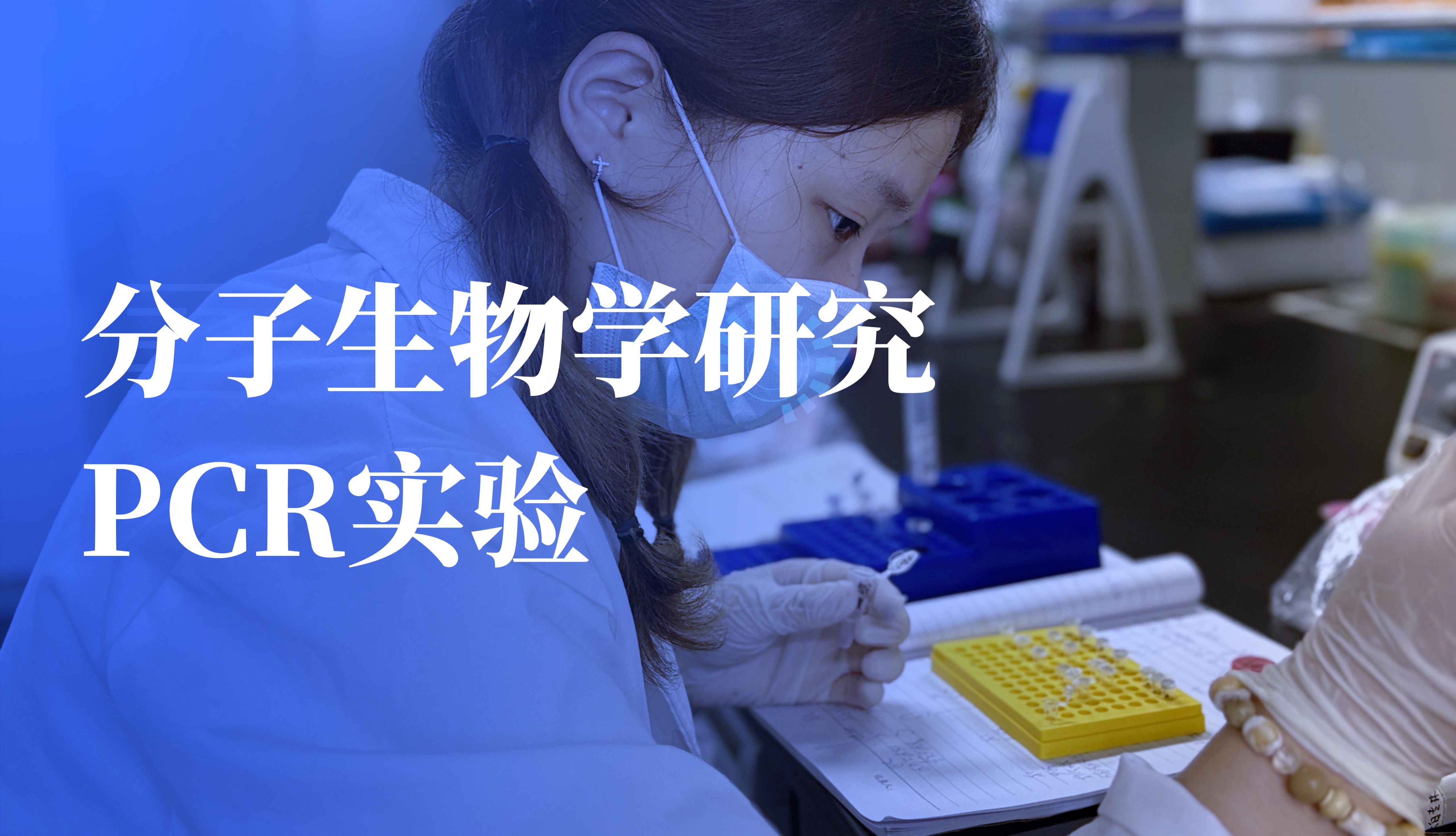 实操前必看|一文区别PCR和RT-qPCR，你的实验应该选哪种？