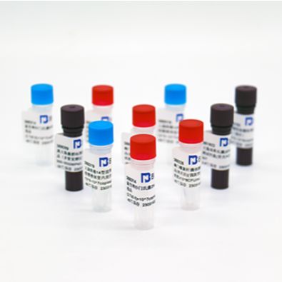 基孔肯 雅热病毒E1基因假病毒核糖核酸液体室内质控品-冻存管