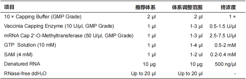 mRNA Cap 2'-O-Methyltransferas