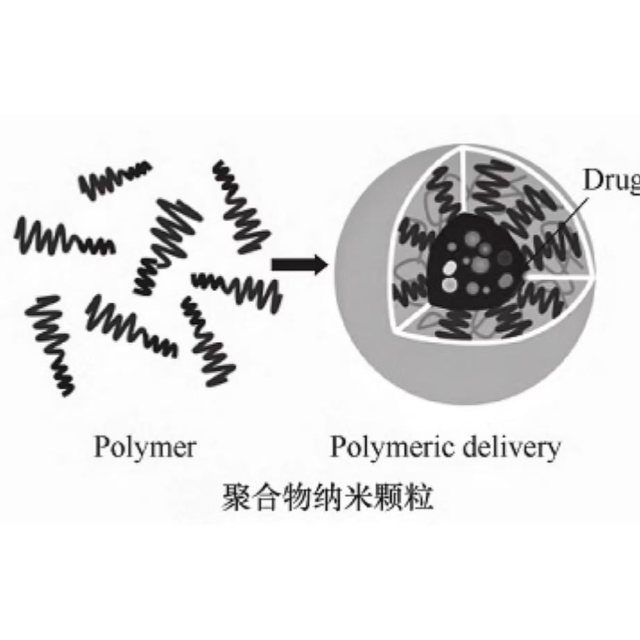 聚己内酯纳米颗粒包载抗菌剂三氯生 PCL NPs@Triclosan