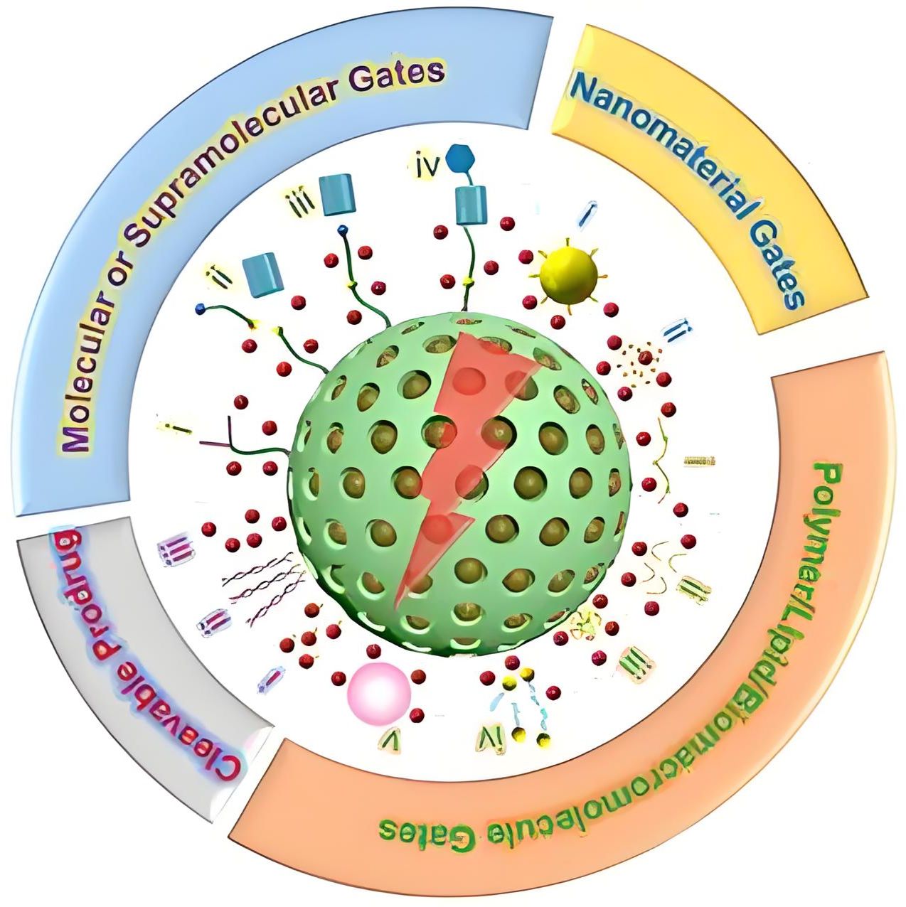 介孔二氧化硅纳米粒子包载长春新碱和柔红霉素 MSNs@VCR/daunorubicin